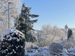 Ferienwohnung Bornich Umgebung 11