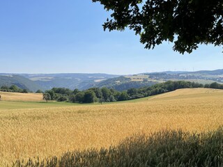 Ferienwohnung Bornich Umgebung 12
