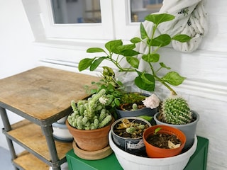 Apartment Paris  33