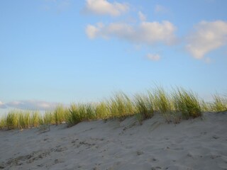 Parc de vacances Westland Environnement 18