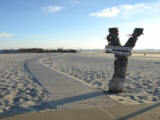 Vakantiepark Westland Omgeving 10