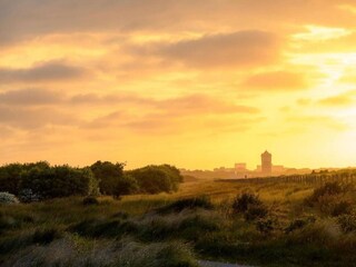 Vakantiepark Westland Omgeving 15