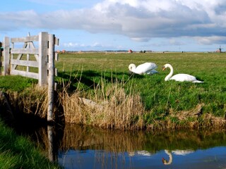 Appartamento per vacanze Schoorl Ambiente 19