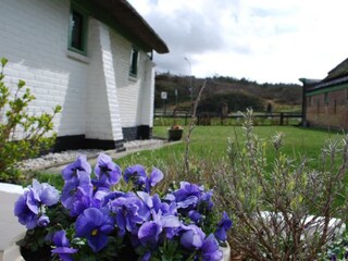 Appartamento per vacanze Schoorl Registrazione all'aperto 2