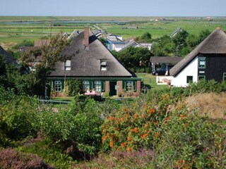 Appartamento per vacanze Schoorl Registrazione all'aperto 4