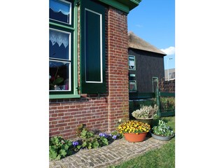 Appartamento per vacanze Schoorl Registrazione all'aperto 5