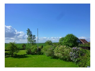 Blick über die Felder zur Ostsee