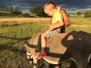 Appartamento per vacanze Monteriggioni Ambiente 26