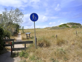 Village dunes