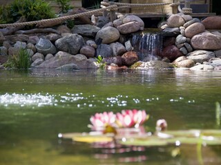 Ferienhaus Stenkullen Schwimmbad 35