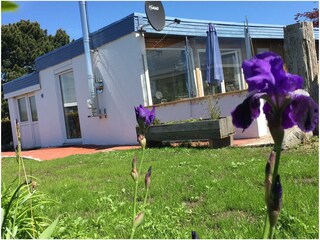 Holiday apartment Großenbrode Outdoor Recording 8