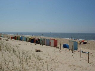 Maison de vacances Callantsoog Environnement 16
