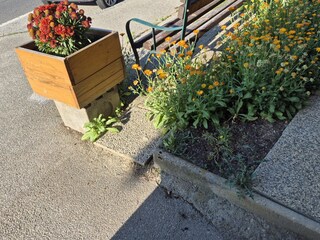 Blumen an der Einfahrt Langerhof Hannersdorf