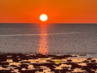 Sonnenuntergang an der Friedrichskoog-Spitze