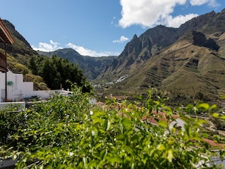 Ferienhaus Agaete Umgebung 44