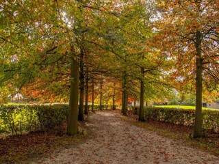 Vakantiepark Arcen Omgeving 29