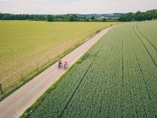 Vakantiepark Walem Omgeving 12