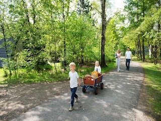 Vakantiepark Hoenderloo  15