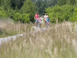 Vakantiepark Hoenderloo Omgeving 10