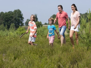Vakantiepark Hoenderloo Omgeving 10