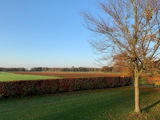 Parc de vacances Hoge Hexel Environnement 20