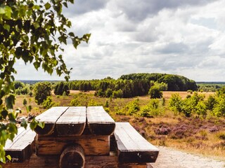 Vakantiepark Epe Omgeving 10