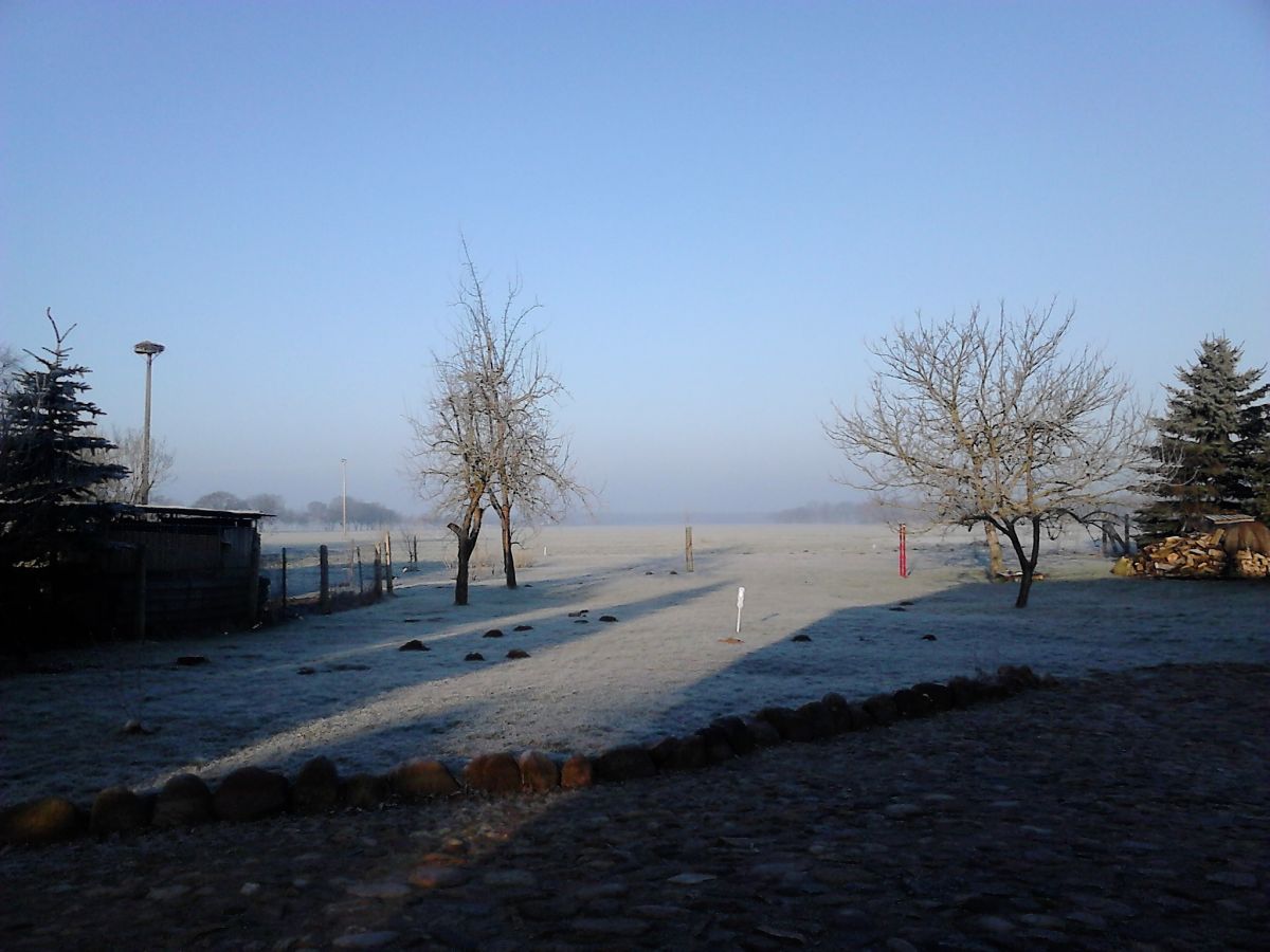 Blick in den winterlichen Garten