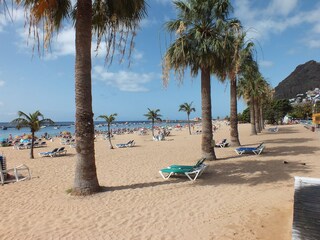 Teneriffa: Strand, Palmen, blaues Meer !!