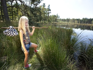 Parc de vacances Borger Environnement 18