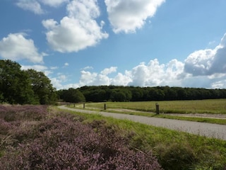 Parc de vacances Borger Environnement 12