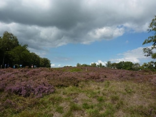 Parc de vacances Borger Environnement 14