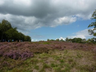 Vakantiepark Borger Omgeving 11
