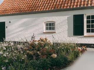 Ferienhaus Oostduinkerke Außenaufnahme 7