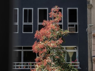 Vakantiehuis Las Palmas Buitenaudio-opname 7