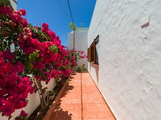 Chalet Agaete Buitenaudio-opname 4