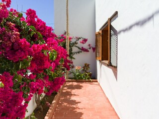 Chalet Agaete Buitenaudio-opname 22