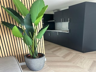 Maison de vacances Baarle-Nassau Équipement 18