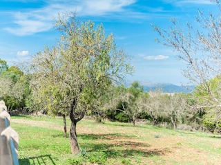 Apartment Llubi Outdoor Recording 24
