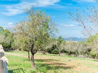 Appartamento Llubi Registrazione all'aperto 24