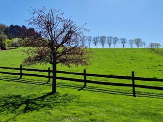 Garten mit Blick zum Pfaffenstein