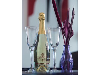 Vakantieappartement Maria Alm Kenmerken 16