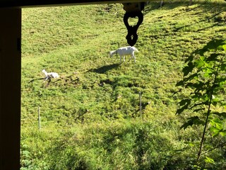 Appartamento per vacanze Maria Alm Ambiente 26