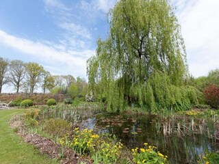 Holiday park Laren (Gelderland) Environment 21