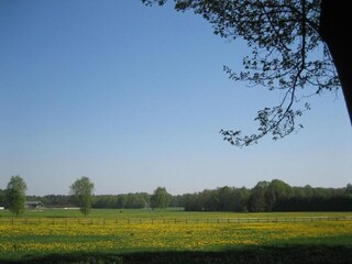 Ferienpark Laren (Gelderland) Umgebung 23