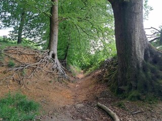 Holiday park Laren (Gelderland) Environment 24