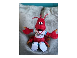 Maskottchen Julianahoeve
