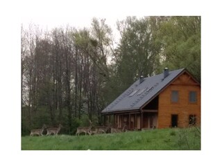 ...und Besucher vor Euren Veranden.