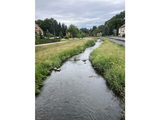 Mandau
