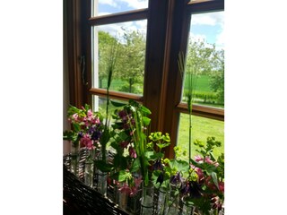 Blick aus Wohnraum