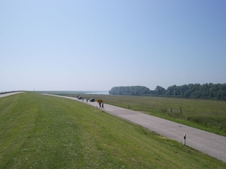 Eine möglich Zufahrt nach Horumersiel, direkt am Deich